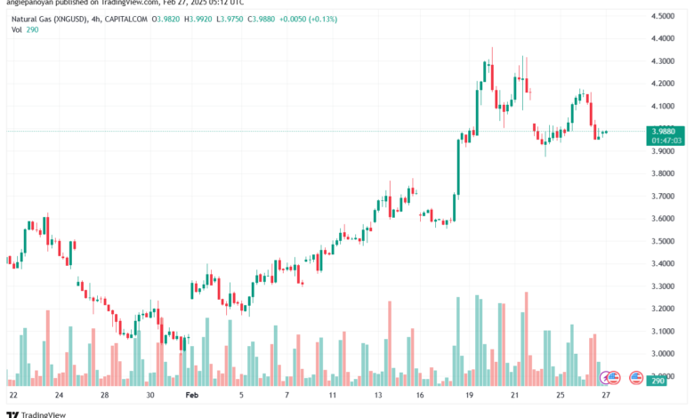تحليل الغاز الطبيعي NATURAL GAS 27-2-2025