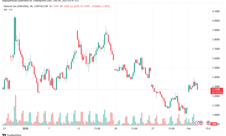 تحليل الغاز الطبيعي NATURAL GAS 4-2-2025