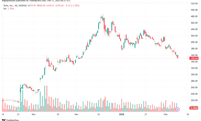 تحليل سهم تسلا الفني TSLA-11-2-2025