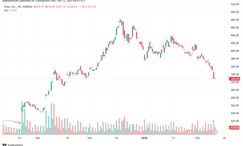 تحليل سهم تسلا الفني TSLA-12-2-2025