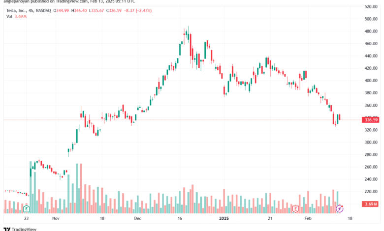 تحليل سهم تسلا الفني TSLA-13-2-2025