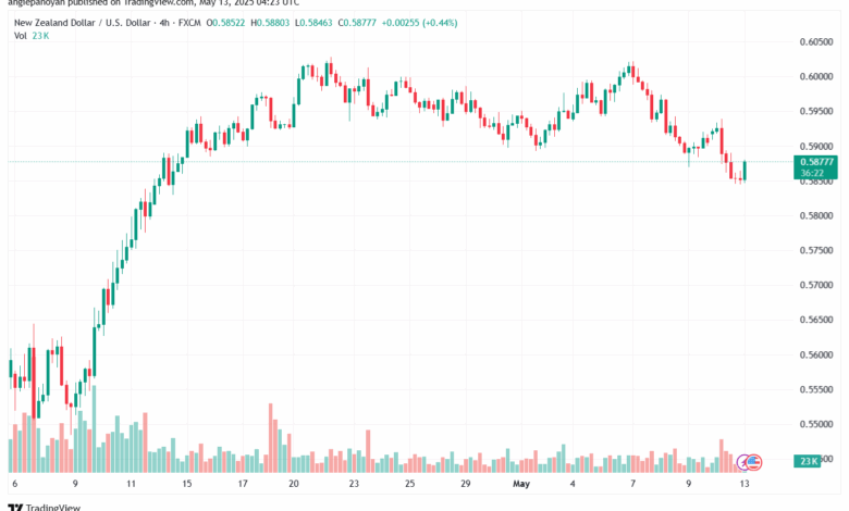 تحليل-NZDUSD-13-5-2025