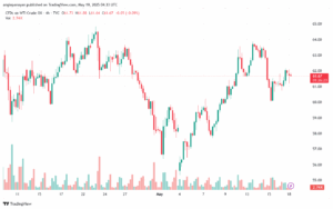 تحليل النفط CRUDE OIL -19-5-2025