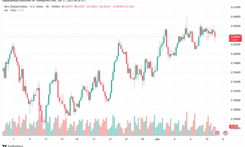 تحليل-NZDUSD-11-6-2025