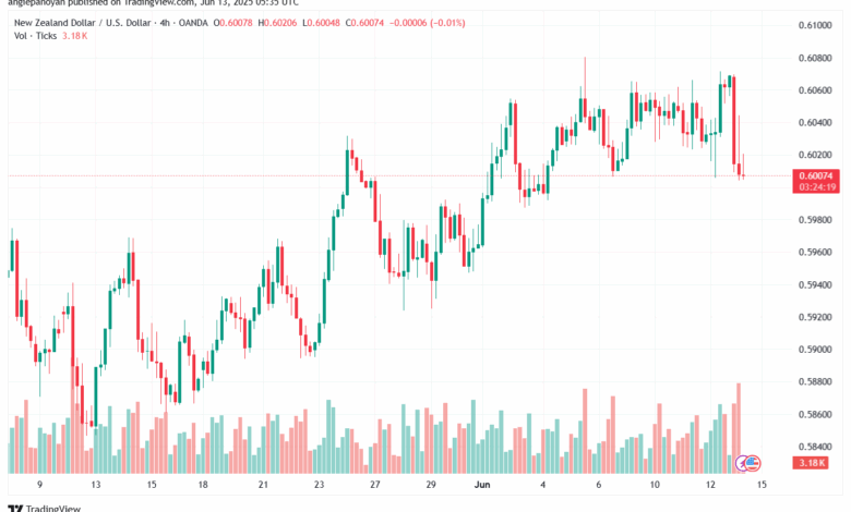 تحليل-NZDUSD-13-6-2025