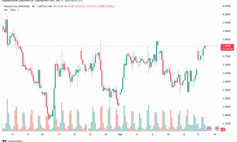 تحليل الغاز الطبيعي NATURAL GAS 17-6-2025