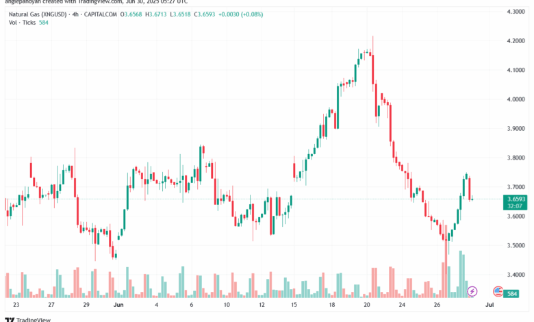 تحليل الغاز الطبيعي NATURAL GAS 30-6-2025