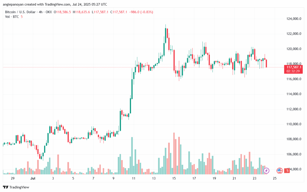 تحليل البتكوين دولار BTCUSD-24-7-2025