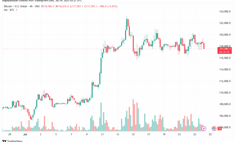 تحليل البتكوين دولار BTCUSD-24-7-2025