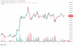 تحليل البتكوين دولار BTCUSD-29-7-2025