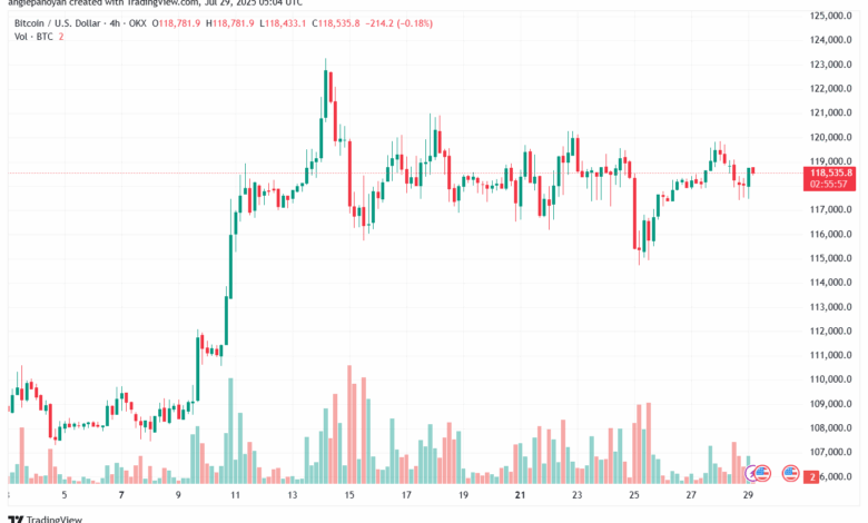 تحليل البتكوين دولار BTCUSD-29-7-2025