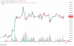 تحليل البتكوين دولار BTCUSD-31-7-2025