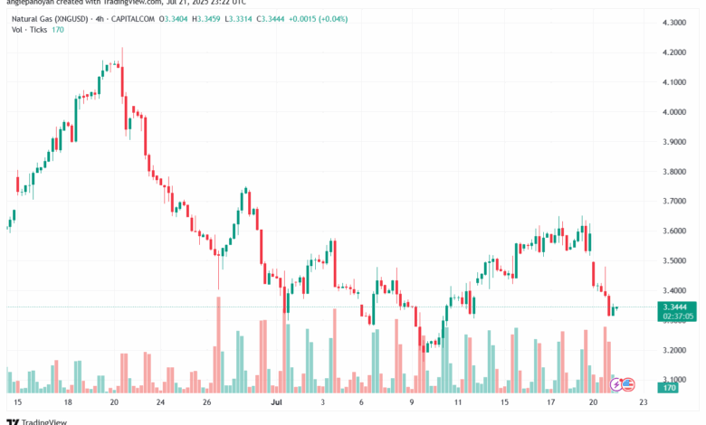 تحليل الغاز الطبيعي NATURAL GAS 22-7-2025