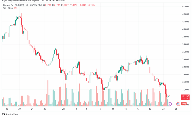 تحليل الغاز الطبيعي NATURAL GAS 24-7-2025