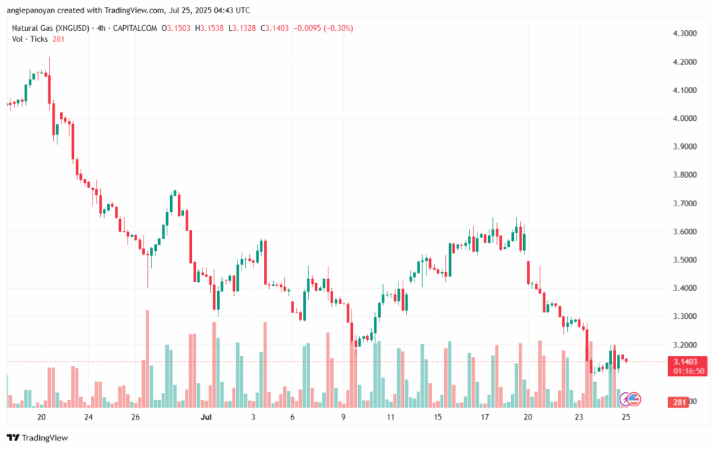 تحليل الغاز الطبيعي NATURAL GAS 25-7-2025