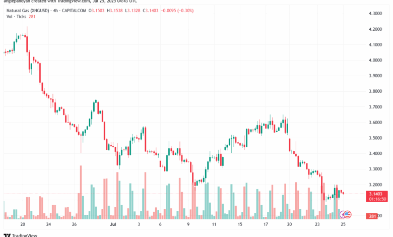 تحليل الغاز الطبيعي NATURAL GAS 25-7-2025