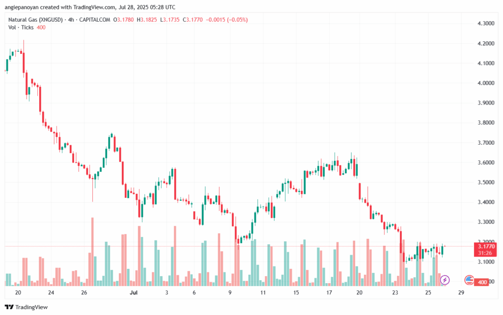 تحليل الغاز الطبيعي NATURAL GAS 28-7-2025