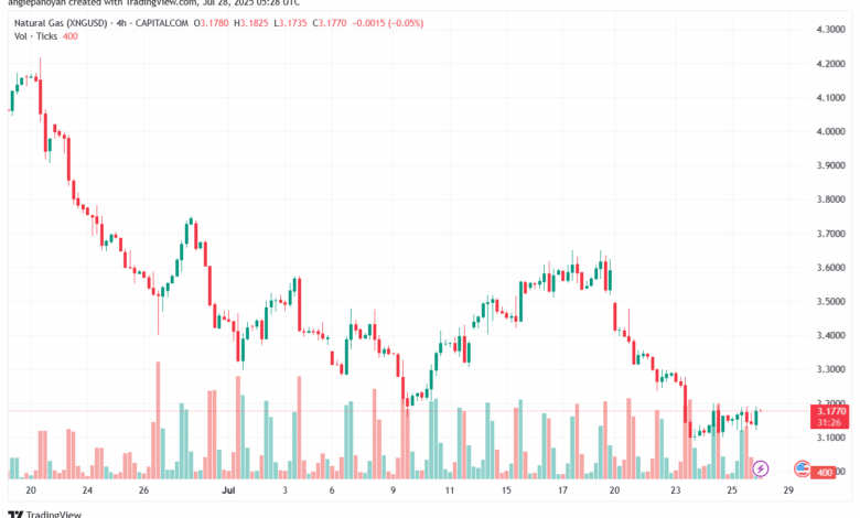 تحليل الغاز الطبيعي NATURAL GAS 28-7-2025