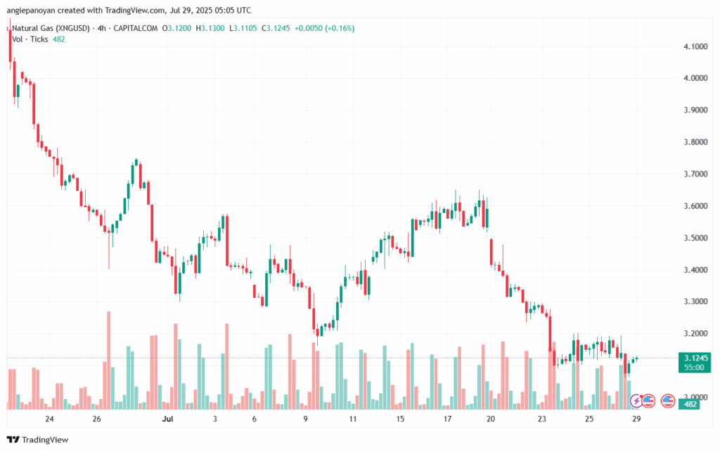 تحليل الغاز الطبيعي NATURAL GAS 29-7-2025