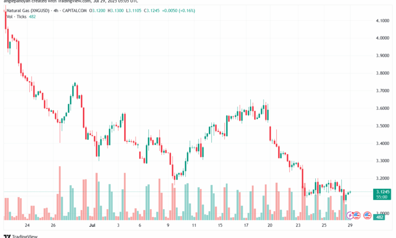 تحليل الغاز الطبيعي NATURAL GAS 29-7-2025