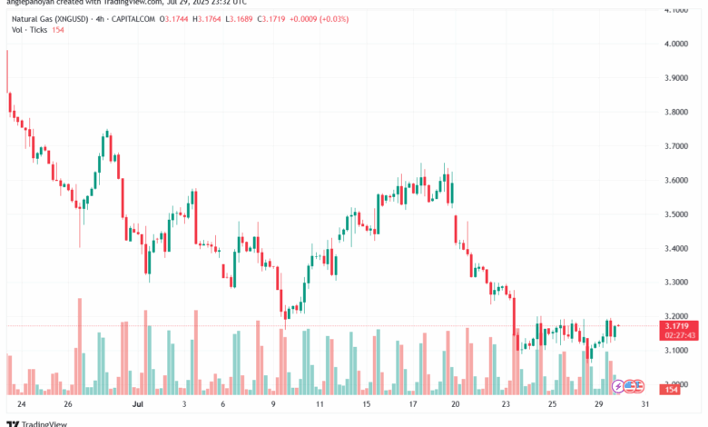 تحليل الغاز الطبيعي NATURAL GAS 30-7-2025