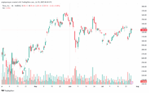 تحليل سهم تسلا الفني TSLA 29-7-2025