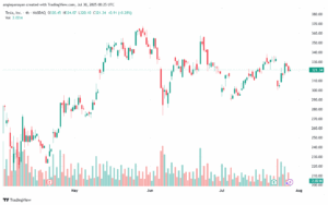 تحليل سهم تسلا الفني TSLA 30-7-2025