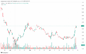 تحليل سهم نيو NIO-15-7-2025