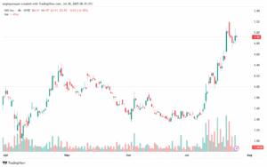 تحليل سهم نيو NIO-28-7-2025