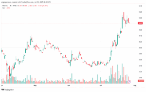 تحليل سهم نيو NIO-29-7-2025