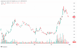 تحليل سهم نيو NIO-31-7-2025