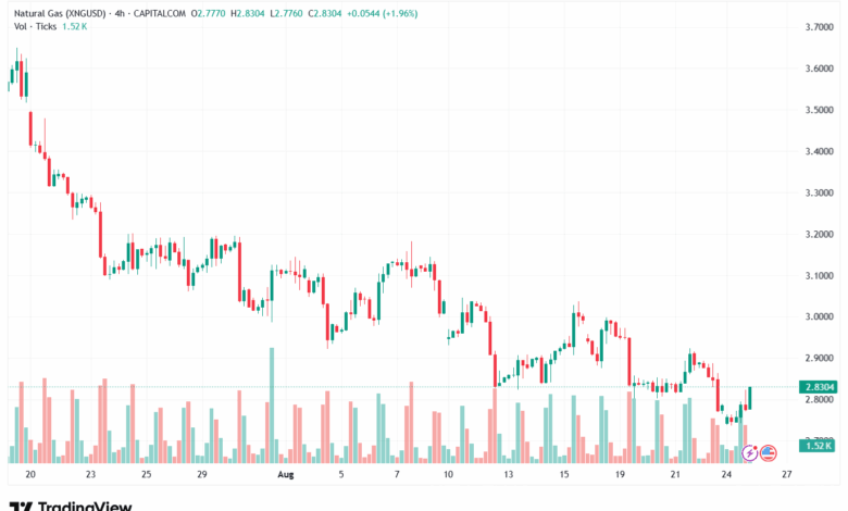 تحليل الغاز الطبيعي NATURAL GAS 26-8-2025