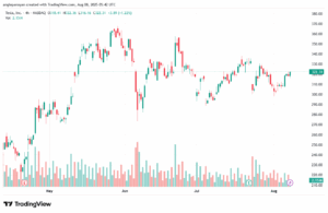تحليل سهم تسلا الفني TSLA 8-8-2025