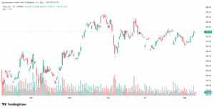 تحليل سهم تسلا الفني TSLA 11-8-2025