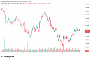 تحليل-NZDUSD-11-8-2025