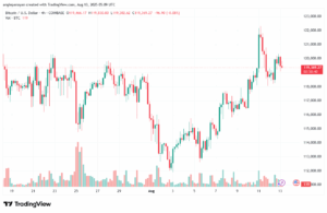 تحليل البتكوين دولار BTCUSD-13-8-2025