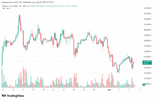 تحليل البتكوين دولار BTCUSD-6-8-2025