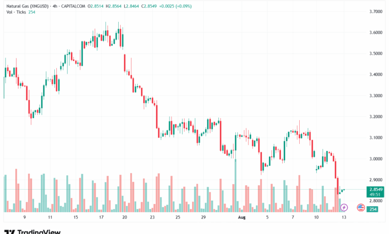 تحليل الغاز الطبيعي NATURAL GAS 13-8-2025