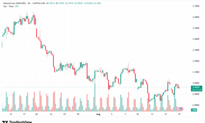 تحليل الغاز الطبيعي NATURAL GAS 19-8-2025