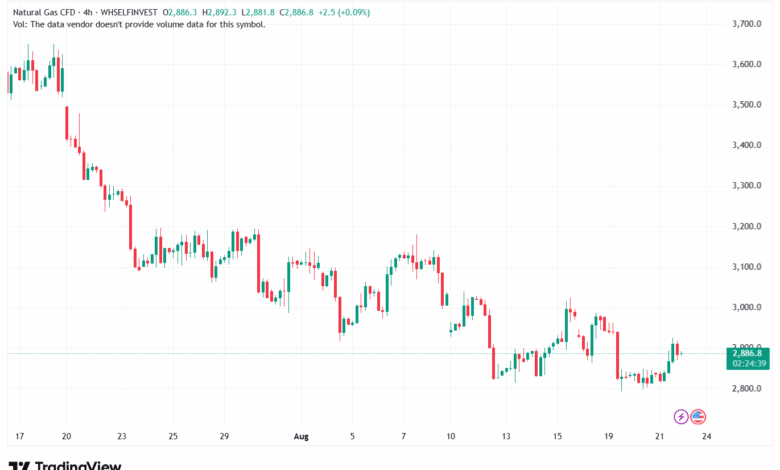تحليل الغاز الطبيعي NATURAL GAS 22-8-2025