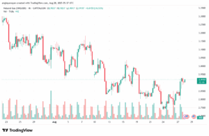 تحليل الغاز الطبيعي NATURAL GAS 28-8-2025