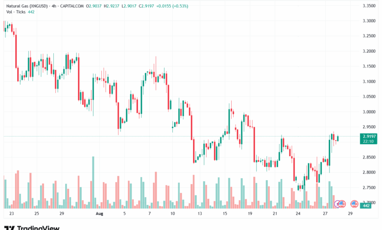 تحليل الغاز الطبيعي NATURAL GAS 28-8-2025