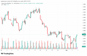 تحليل الغاز الطبيعي NATURAL GAS 7-8-2025