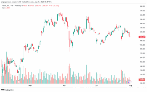 تحليل سهم تسلا الفني TSLA 01-8-2025