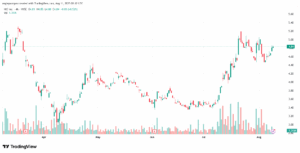 تحليل سهم نيو NIO-11-8-2025