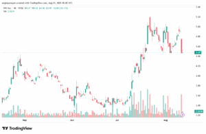 تحليل سهم نيو NIO-13-8-2025