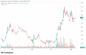تحليل سهم نيو NIO-8-8-2025