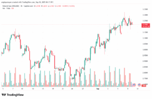 تحليل الغاز الطبيعي NATURAL GAS 10-9-2025