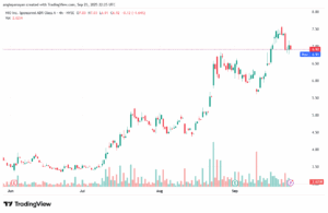 تحليل سهم نيو NIO-24-9-2025