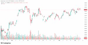 تحليل سهم تسلا الفني TSLA -11-9-2025